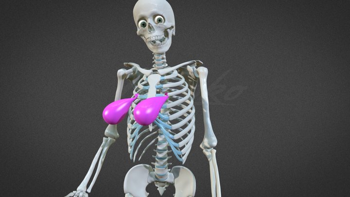 Skelly Water Balloon Boobs 3D Model