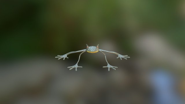 Frog 3D Model