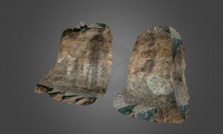 Volcanic Soil Profile 001 3D Model