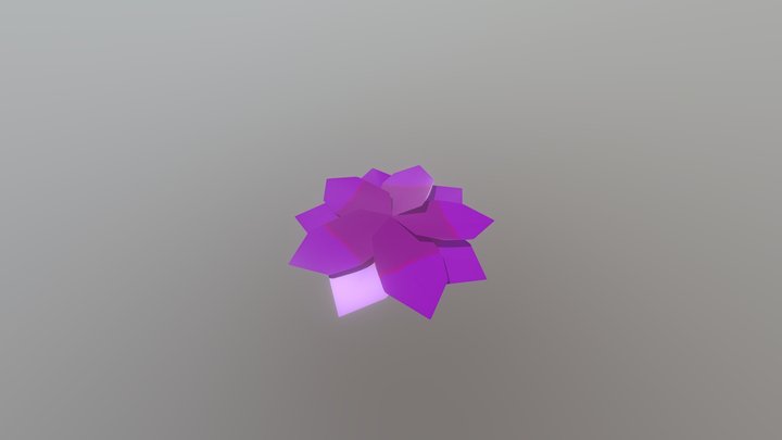 Petals 3D Model