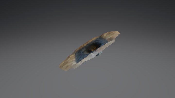 Respirator (2) 3D Model
