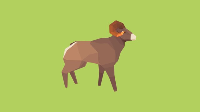 Bighorn 3D Model