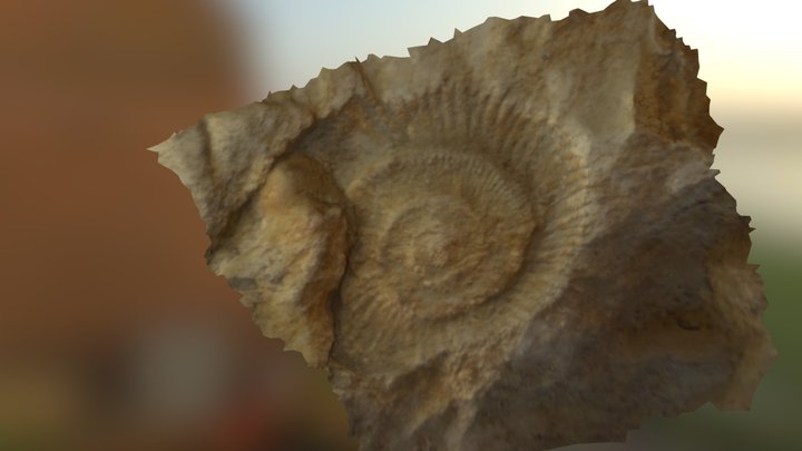 Macro 3D Model