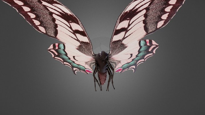 Moth