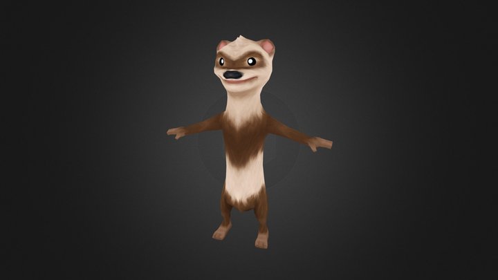 Mustela 3D Model