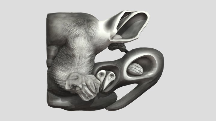 0 (64) – Free 3D Model STL