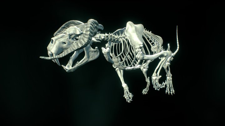 Creature Skeleton 3D Model