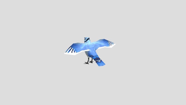 Bluejay 3D Model