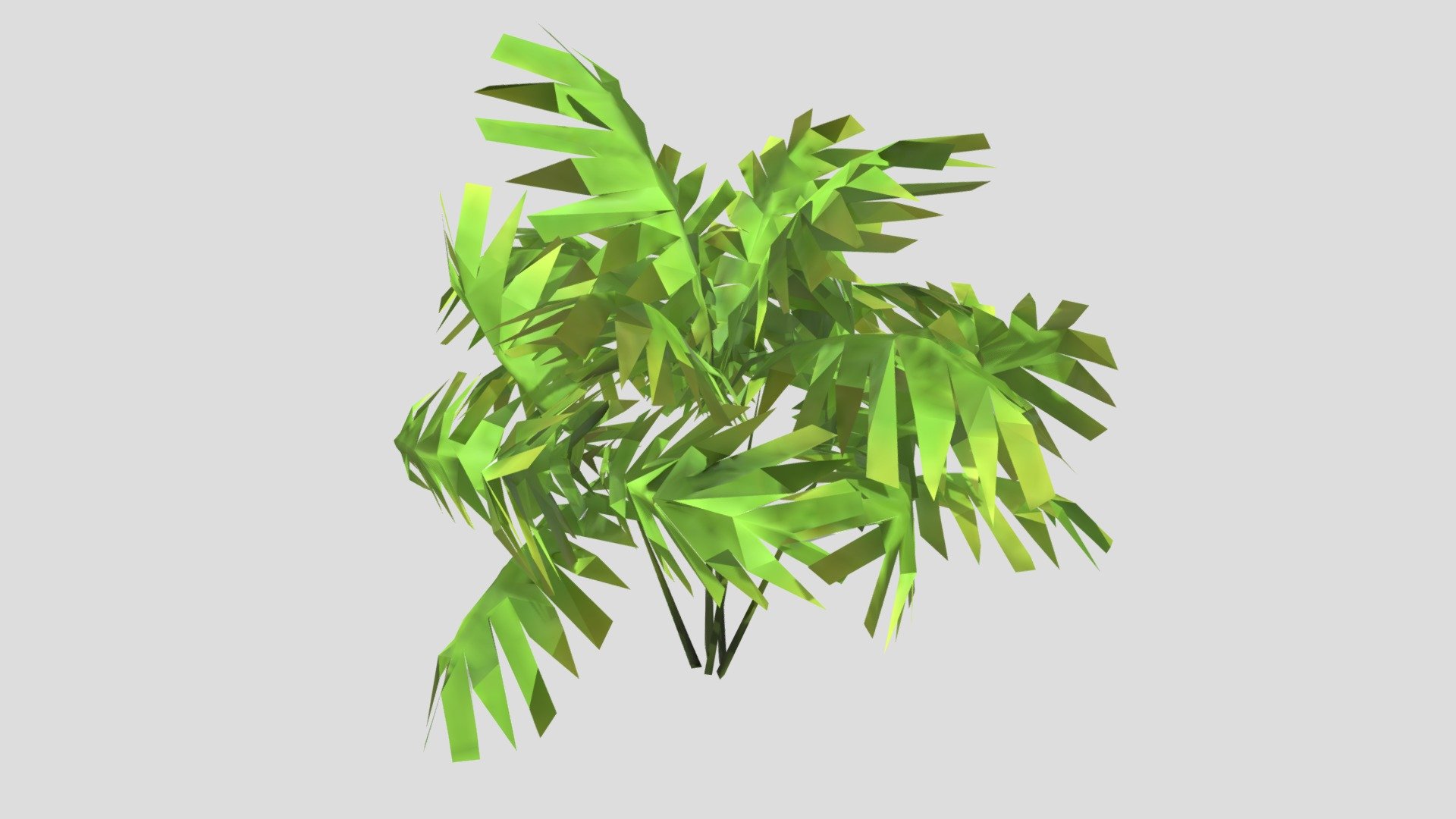 MucSciFi3-IvoryCanePalmTree