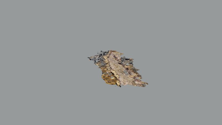 Smith’s Beach- near main quartzite outcrop 3D Model