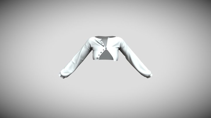 Opened Button Blouse Low Poly Mesh 3D Model