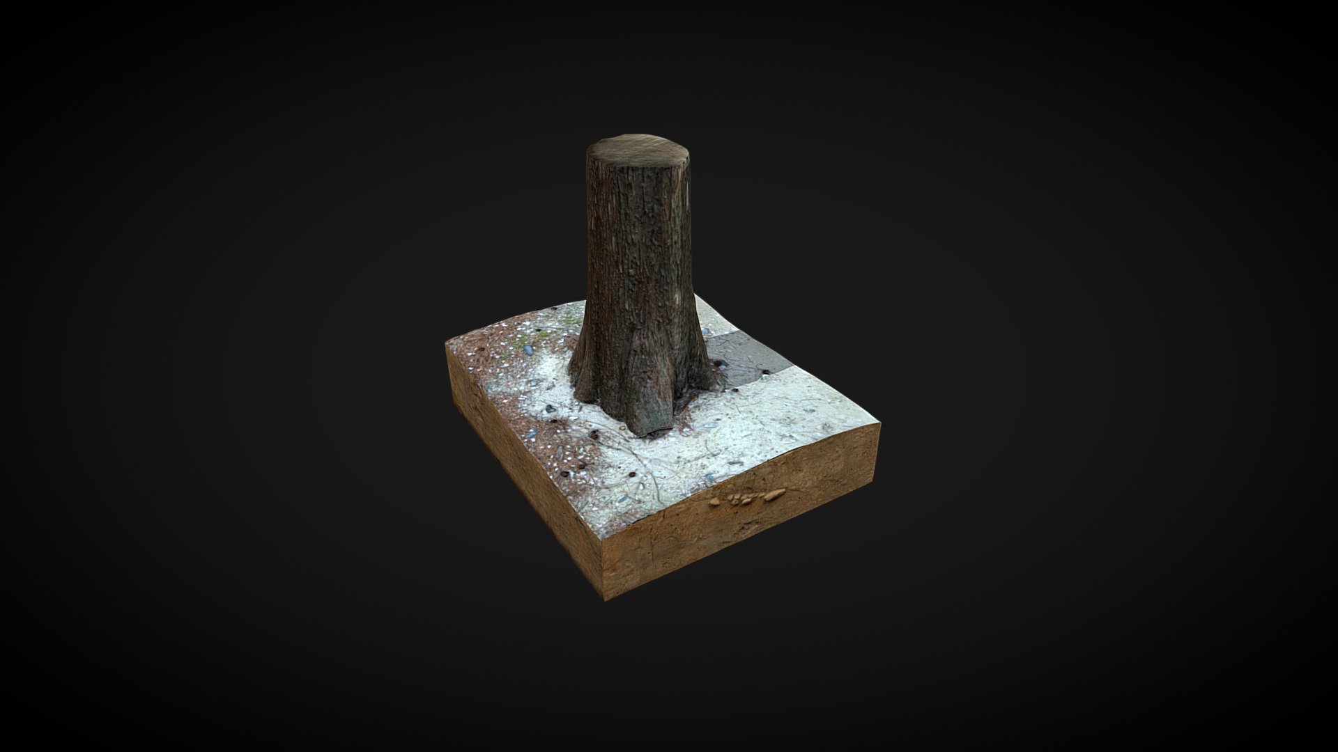 Tree - Download Free 3D model by 3DScanModel [fb08124] - Sketchfab