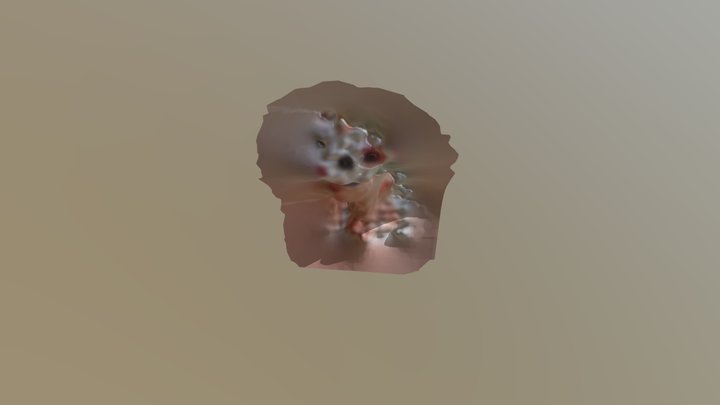 Scannedcat1 3D Model