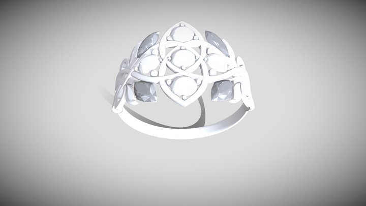 Ring 3rd 3D Model