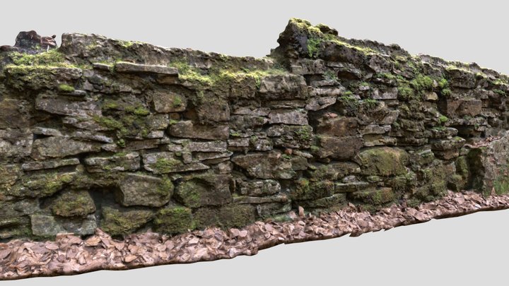 Muro piedras musgo