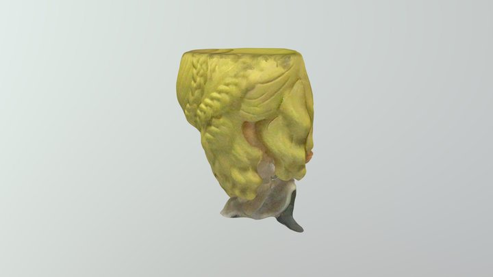 DobsTest 3D Model