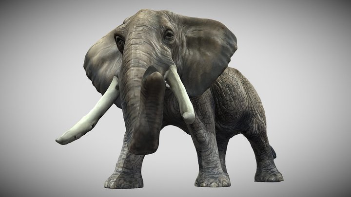 Big Elephant 3D Model