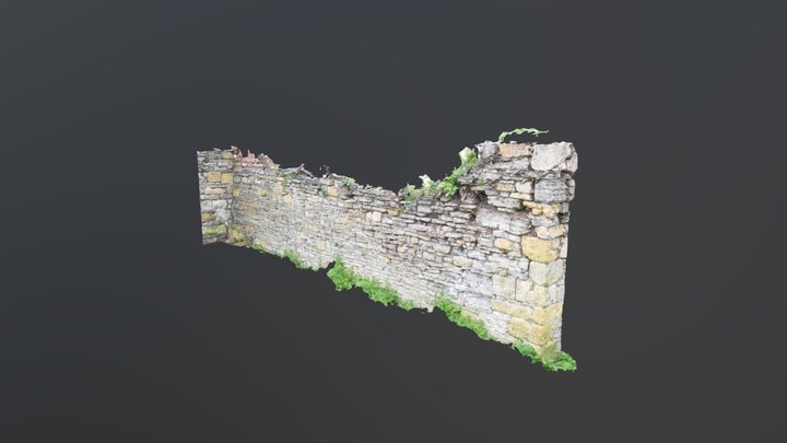 External P4 3D Model