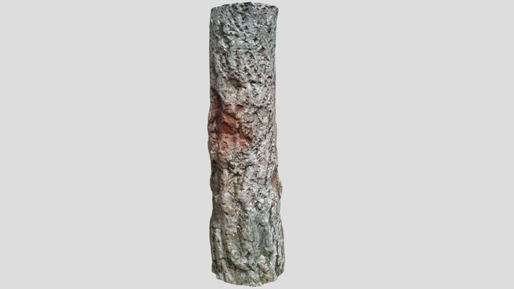 Tree Trunk Low Poly 3D Model
