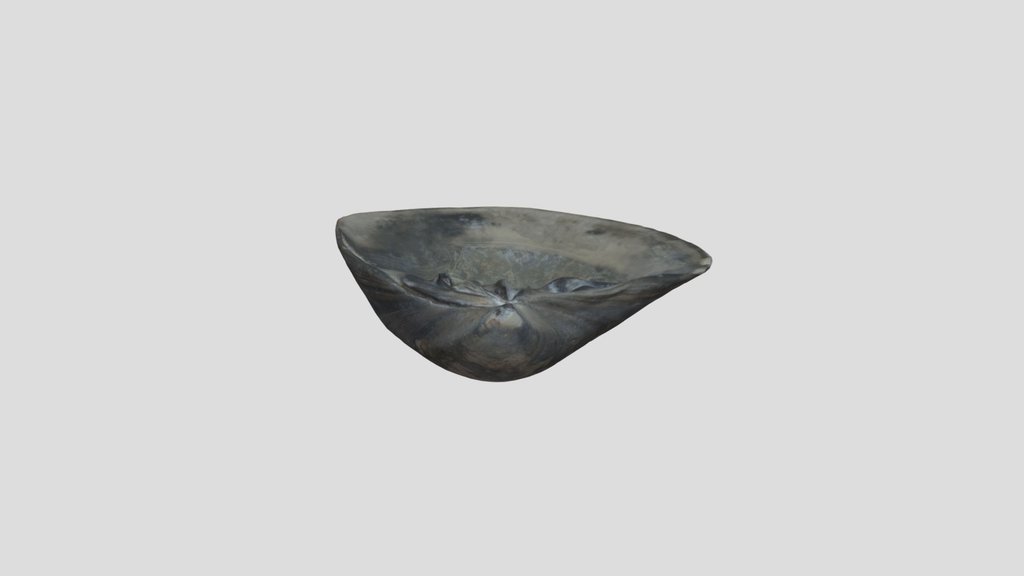 River Shell