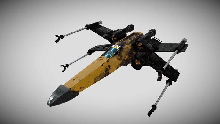 Cat Xwing 3D Model