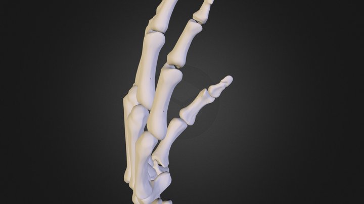 Mano colores 3D Model