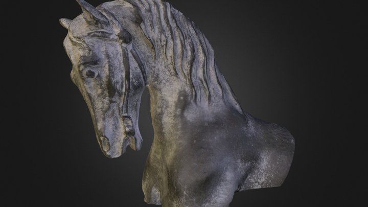 Tête de cheval 3D Model