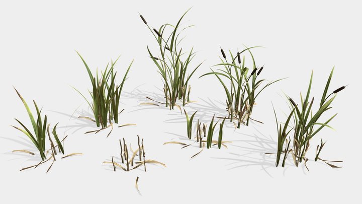 Cattails set low poly game ready 3D Model
