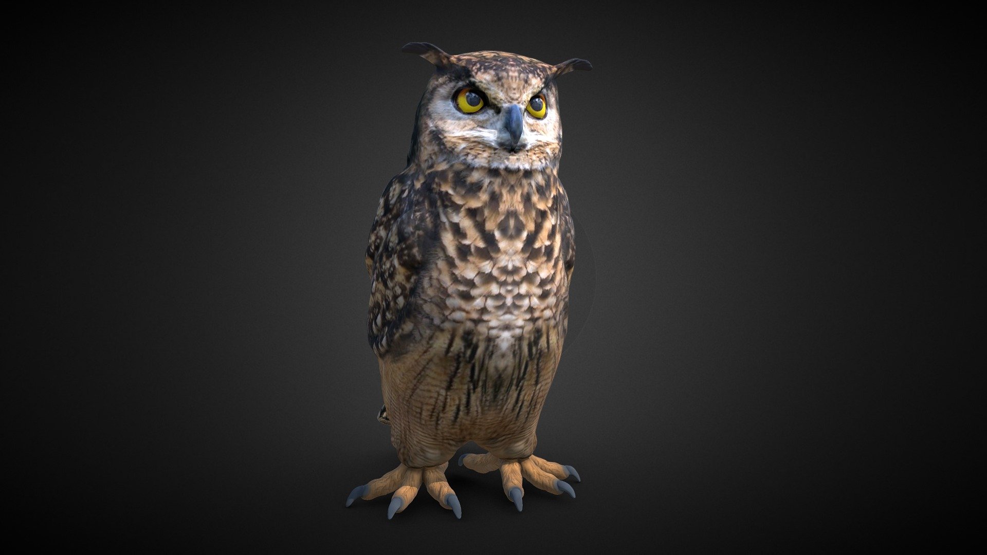 3D model Bubo the Owl VR / AR / low-poly