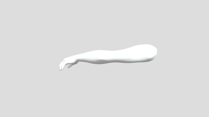 Uploads_files_2264194_muscle_Found 3D Model
