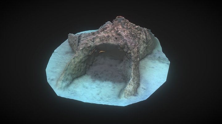 Starfish 3D Model