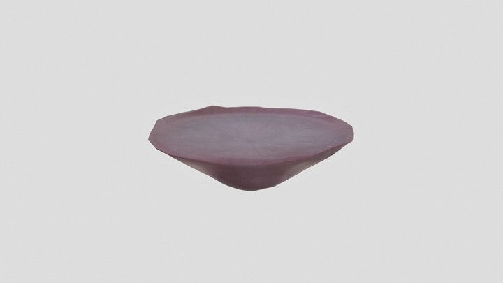 Coral 3D Model