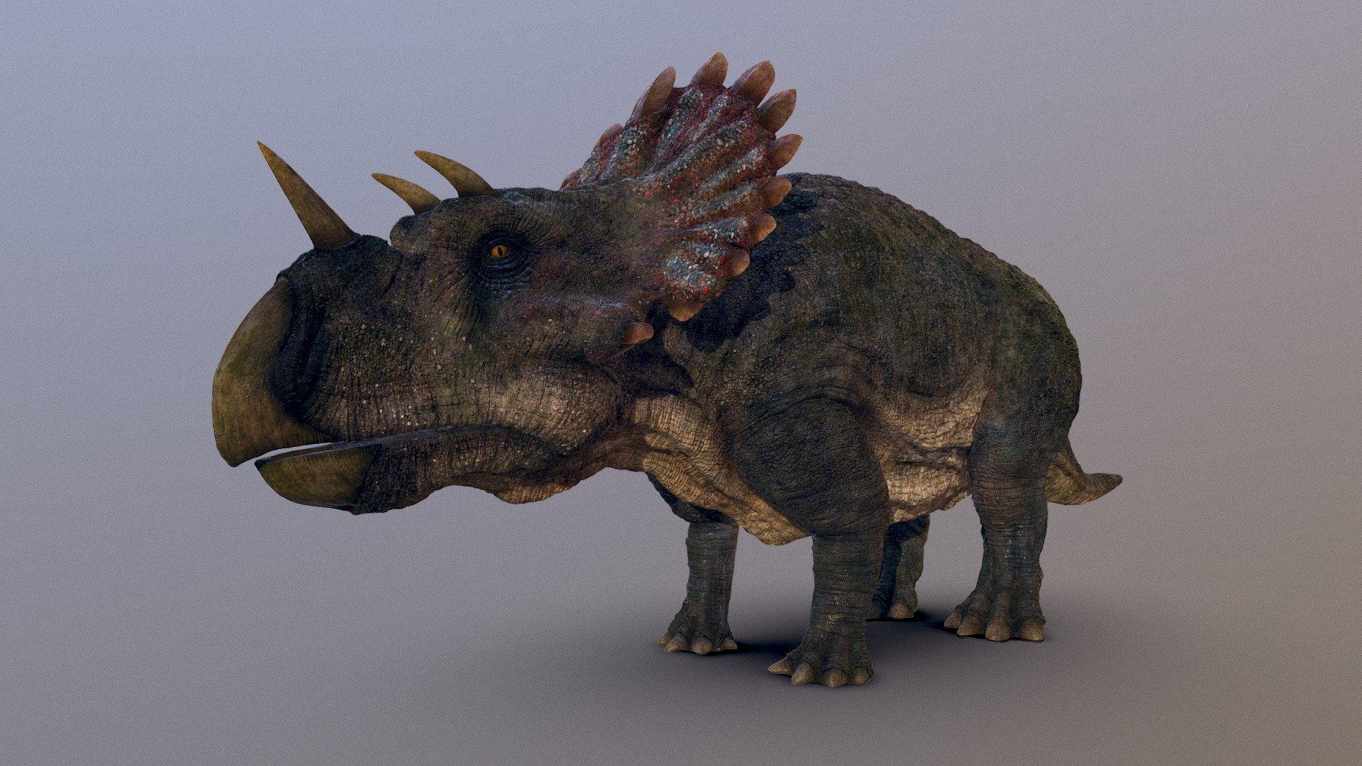 Regaliceratops - Download Free 3D model by Julian Johnson-Mortimer ...