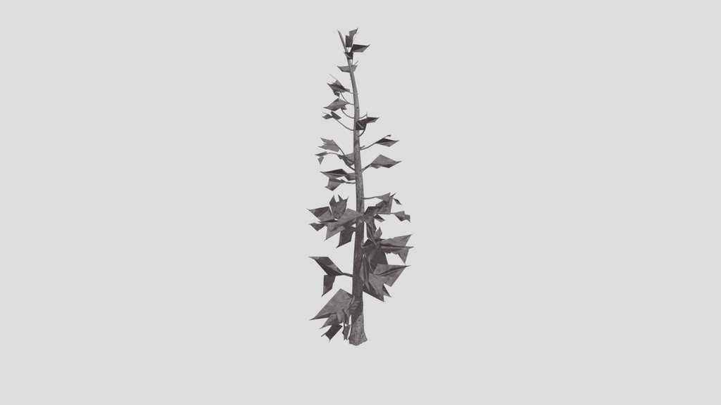 Tree Larchsiberian Bare A2