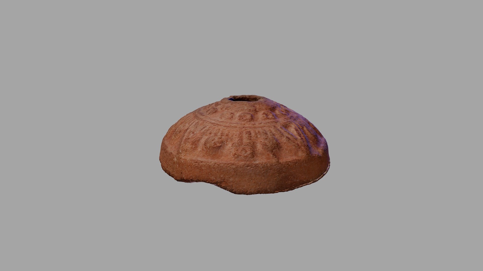 YPM ANT.136425