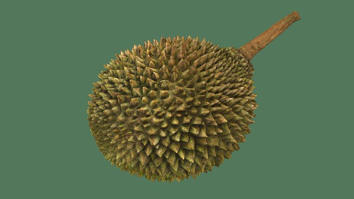 Durian 3D Model