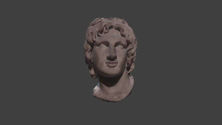 Head of Alexander the Great Model 1 3D Model