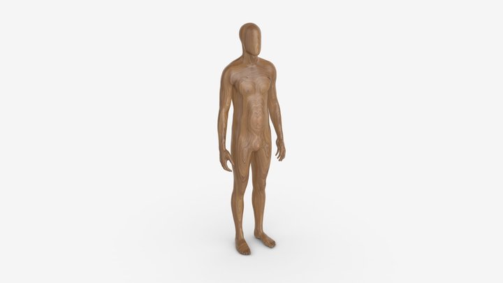 Manikin 3D models - Sketchfab