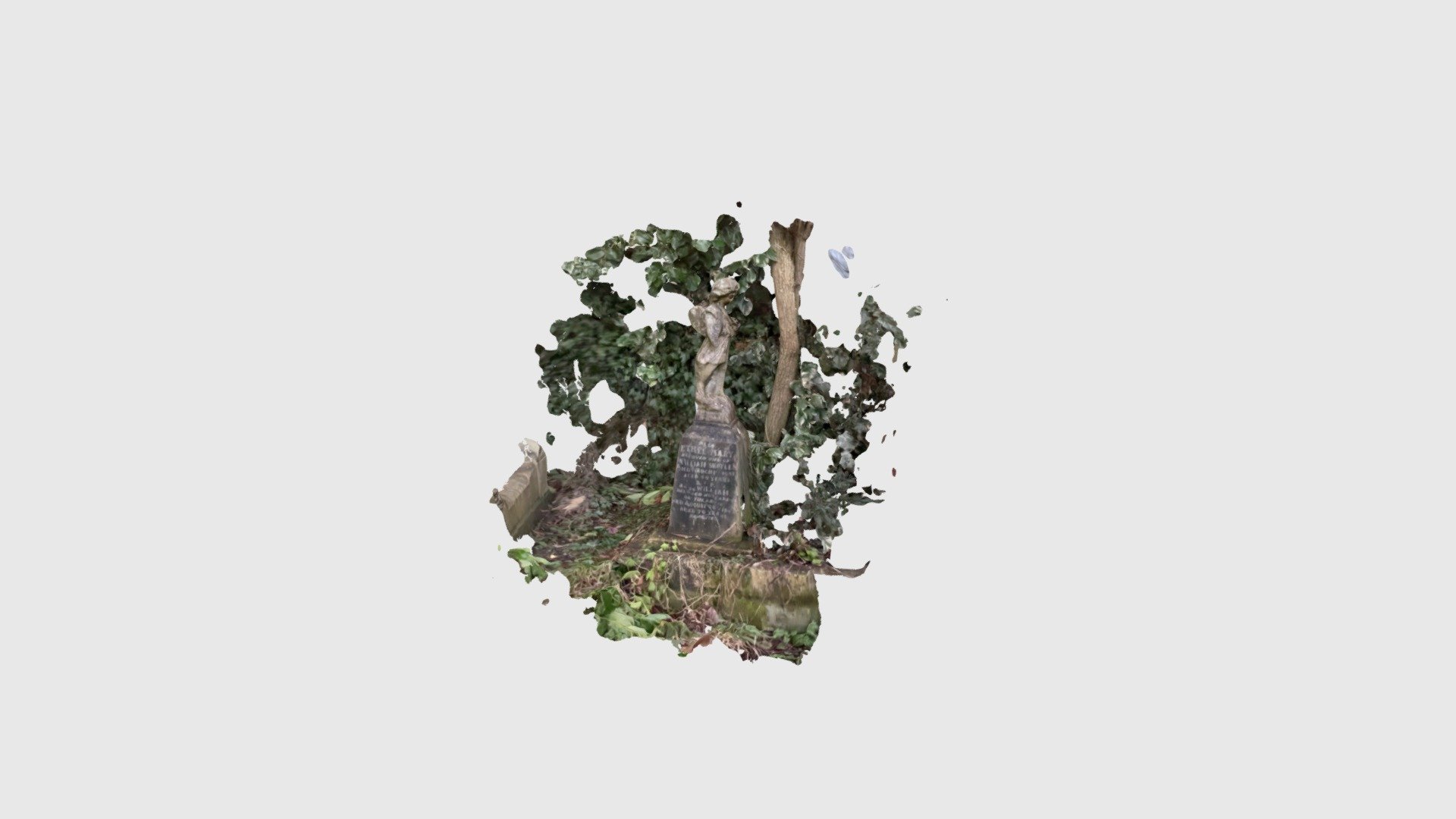 The Cherub