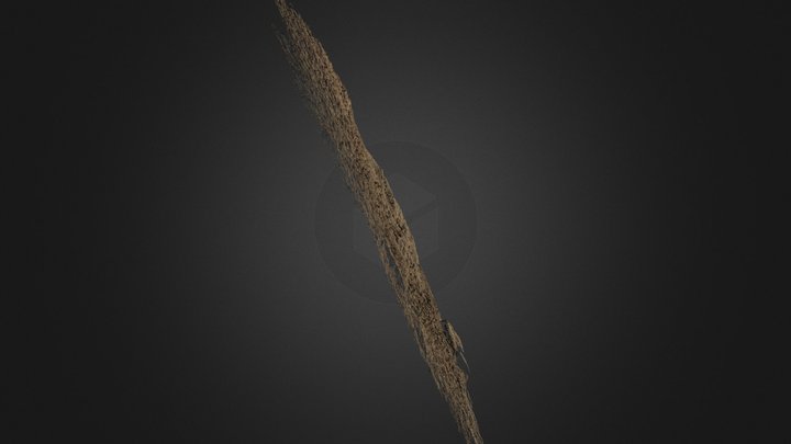 option-0000 3D Model