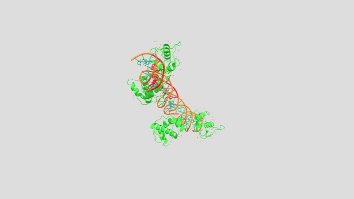 1IGN Annotated Protein model 3D Model