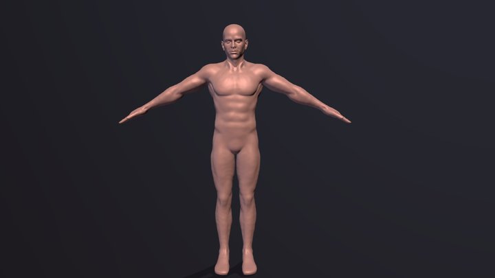 Full Body 3D Model