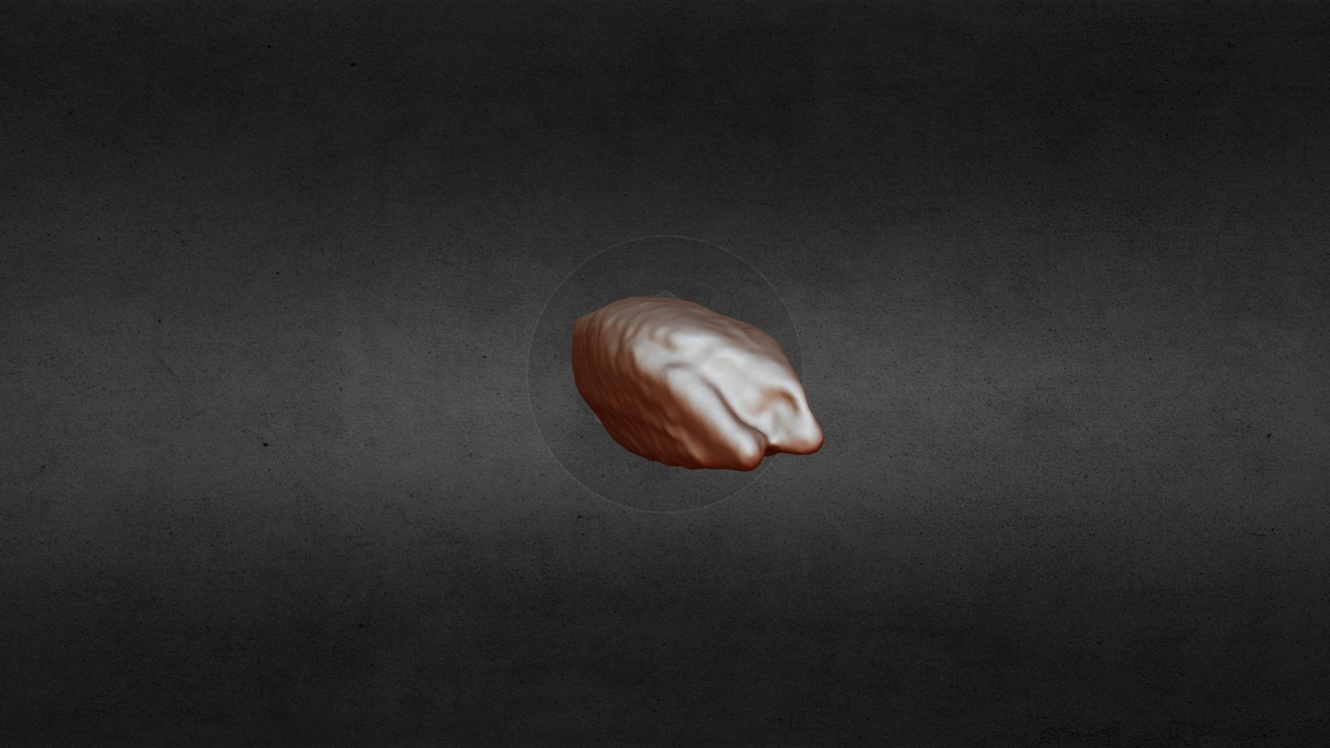 Rice — Sketchfab embed 3D viewer