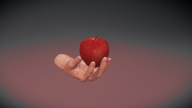 Ignorance and Knowledge 3D Model