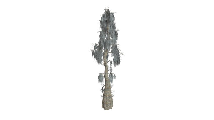 Bald Cypress Tree #04 3D Model