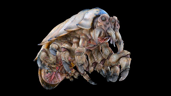 Kaiju Skinmite "Pacific Rim" 3D Model