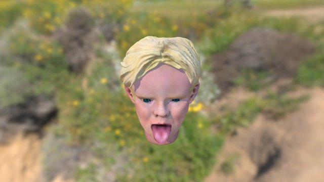 Carricature 3D Model