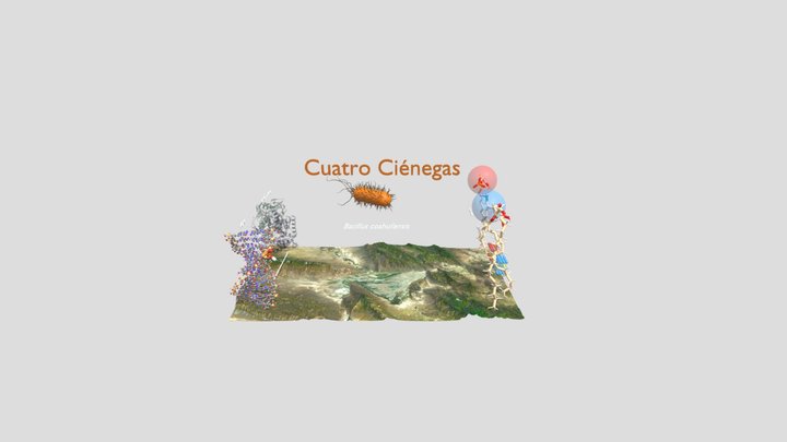 Cuatro Cienegas