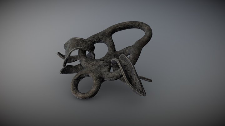 Spectacle Clew – 19th Century Shipwreck 3D Model