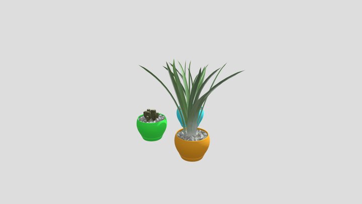 Plant And cactus Whit Pot 3D Model